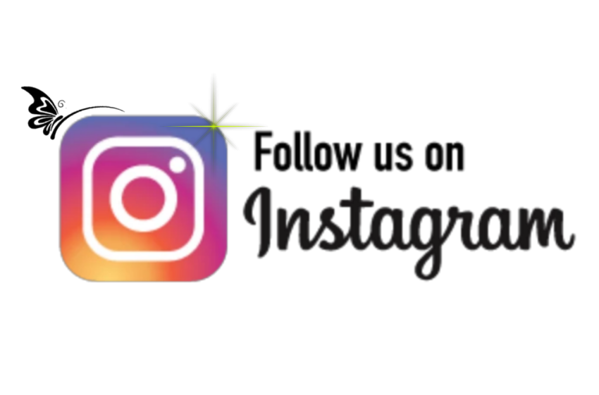Instagram Logo in Pink and Gradient Styles